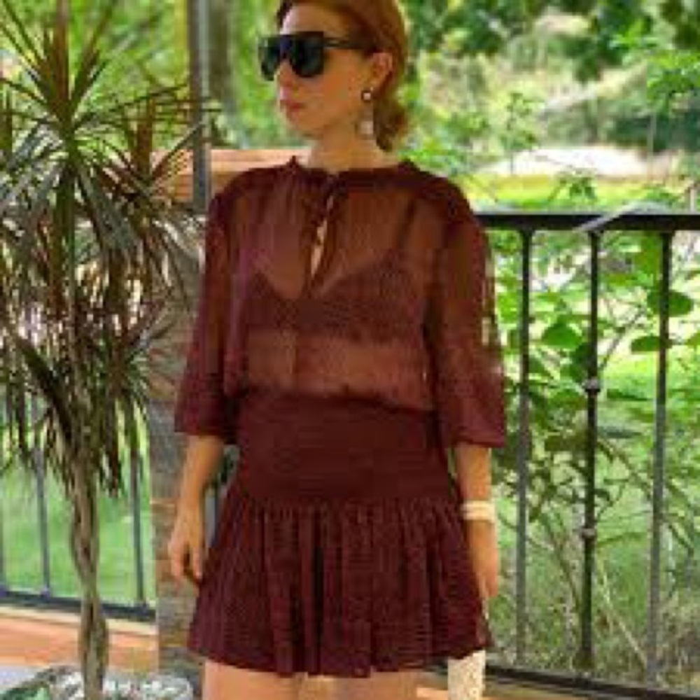 ZARA Burgundy Zebra Animal Print Mini Dress Sheer Smocked Waist Size L Sexy Date